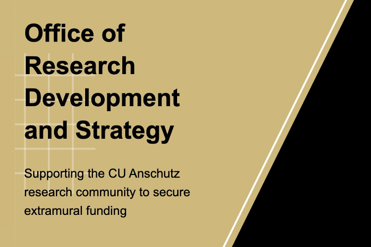 Office of Research Development and Strategy