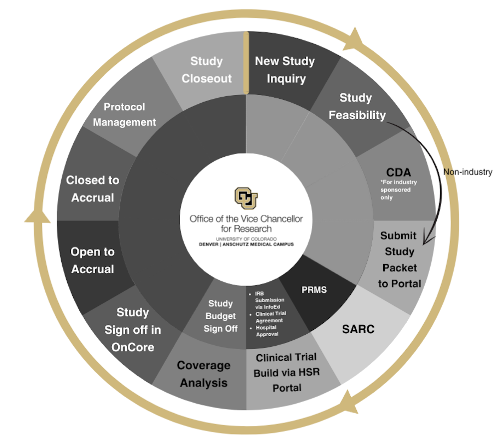 A wheel depicting the phases of research studies from new study inquiry to submitting study packet to the portal to accrual to study closeout.