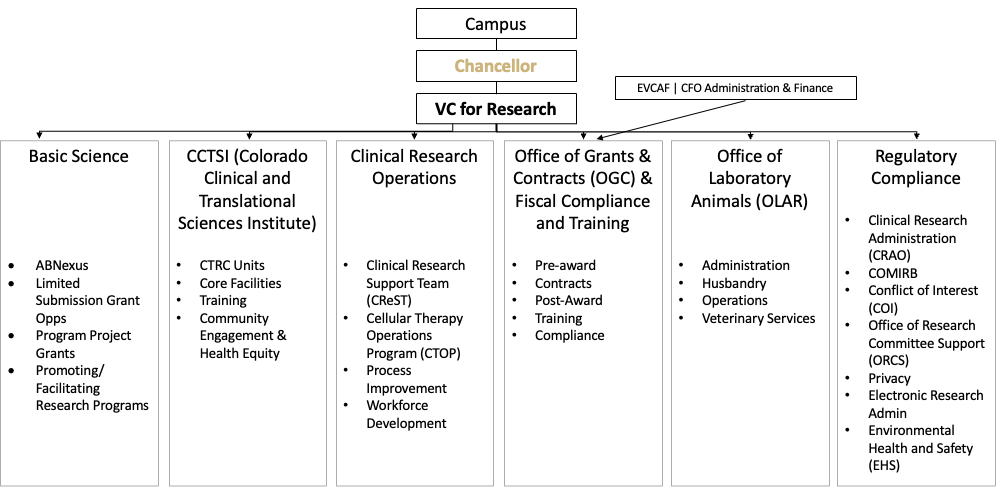 Vice Chancellor of Research organizational chart