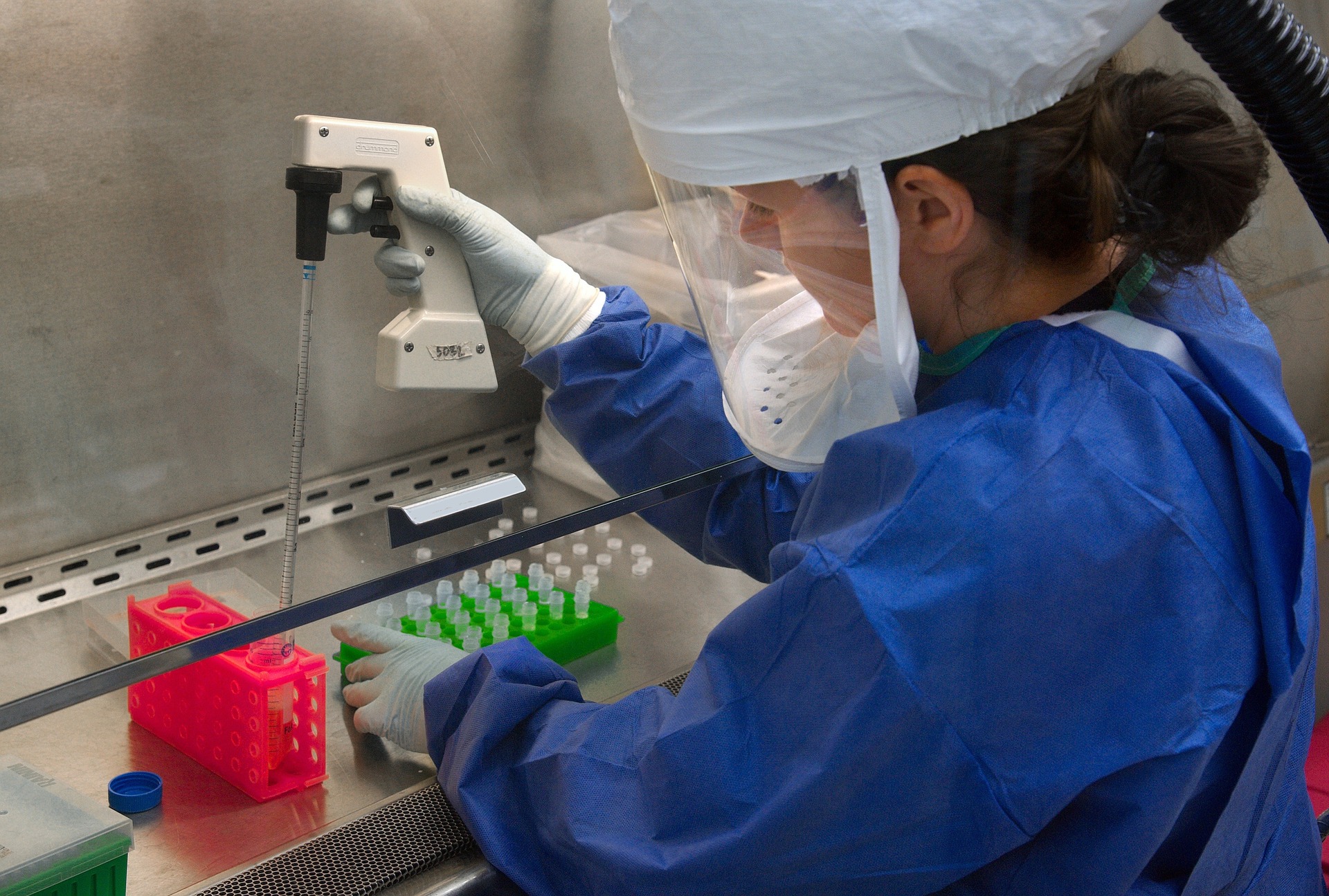scientist working at biosafety cabinet