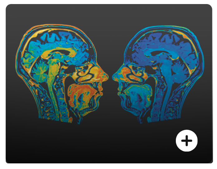 Brain Scan with Plus Icon