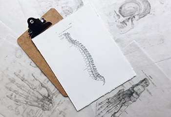 Sketch of spine